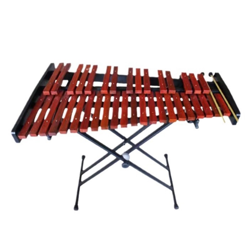 Xilófono de 37 tonos de Metal  - Musical Instrument Glockenspiel reseña y precio