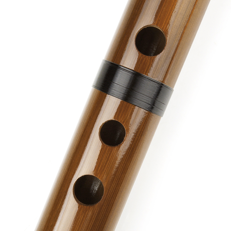 Flauta marrón con llave G, ins - Musical Instrument Of India reseña y precio