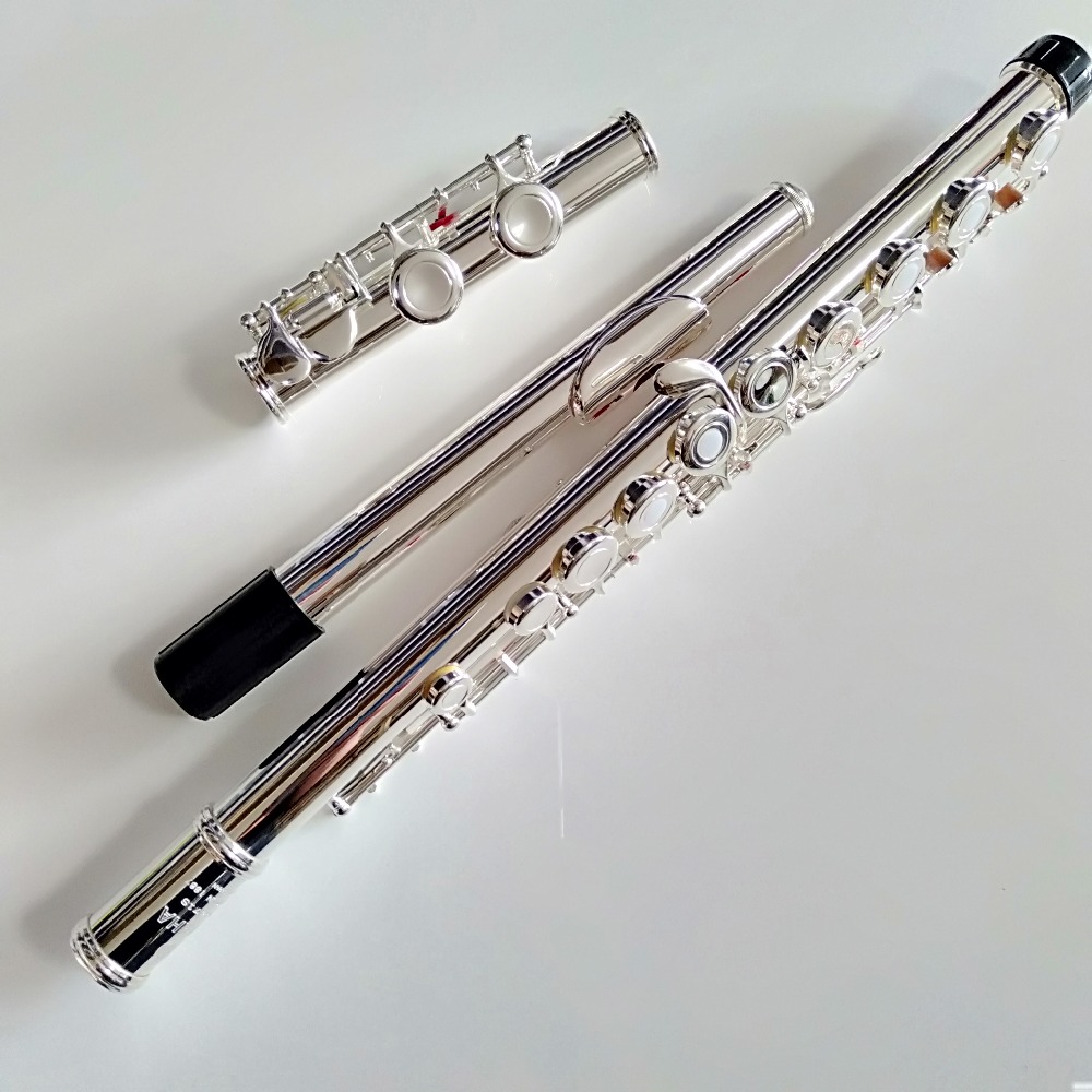 Flauta profesional japonesa FL - Musical Instrument Japan reseña y precio