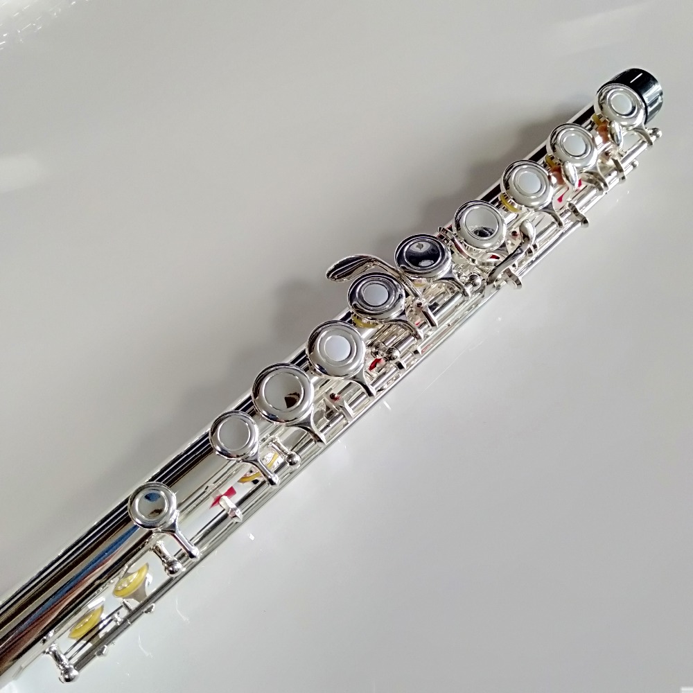Flauta profesional japonesa FL - Musical Instrument Japan reseña y precio