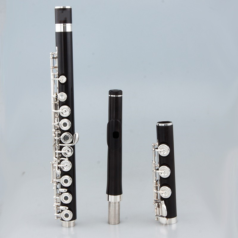 Flauta Profesional Japonesa de - Musical Instrument Japan reseña y precio