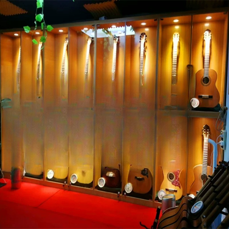 Vitrina de Exhibición para Ins - Musical Instrument Glass reseña y precio