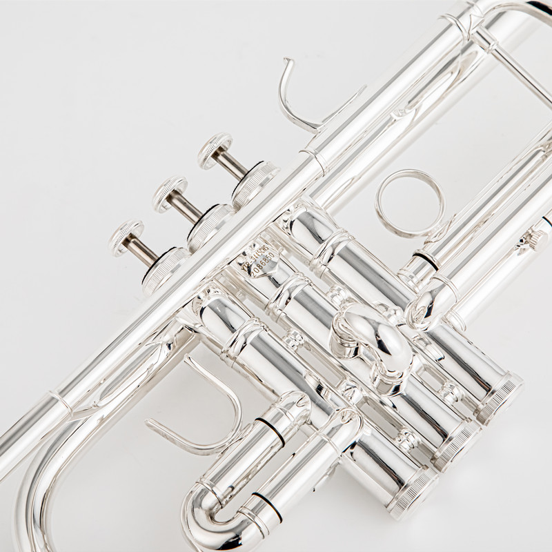 Trompeta profesional chapada e - Musical Instrument Japan reseña y precio