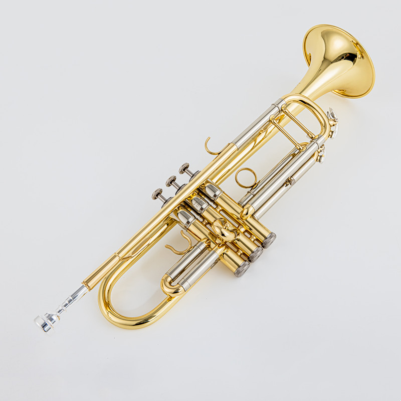 Trompeta profesional de calida - Musical Instrument Japan reseña y precio