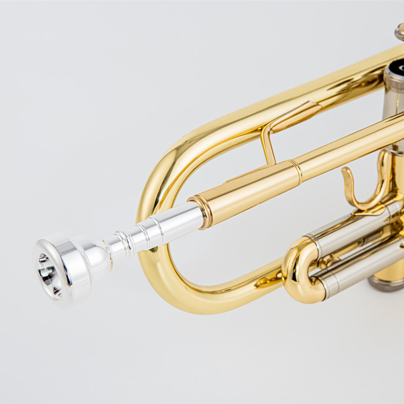 Trompeta profesional de calida - Musical Instrument Japan reseña y precio