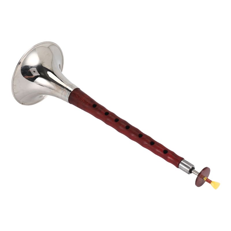 A12E-Instrumento musical de vi - Musical Instrument Zurna reseña y precio