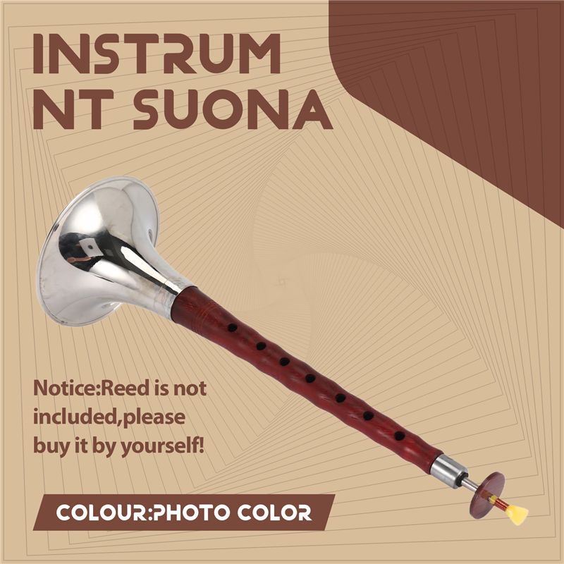 A12E-Instrumento musical de vi - Musical Instrument Zurna reseña y precio
