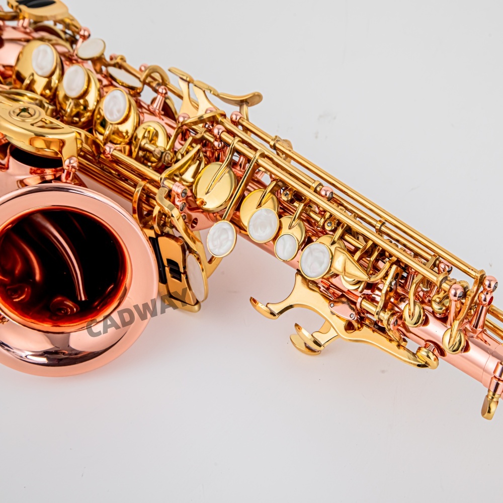 Saxofón soprano japonés en Si  - Musical Instrument Japan reseña y precio