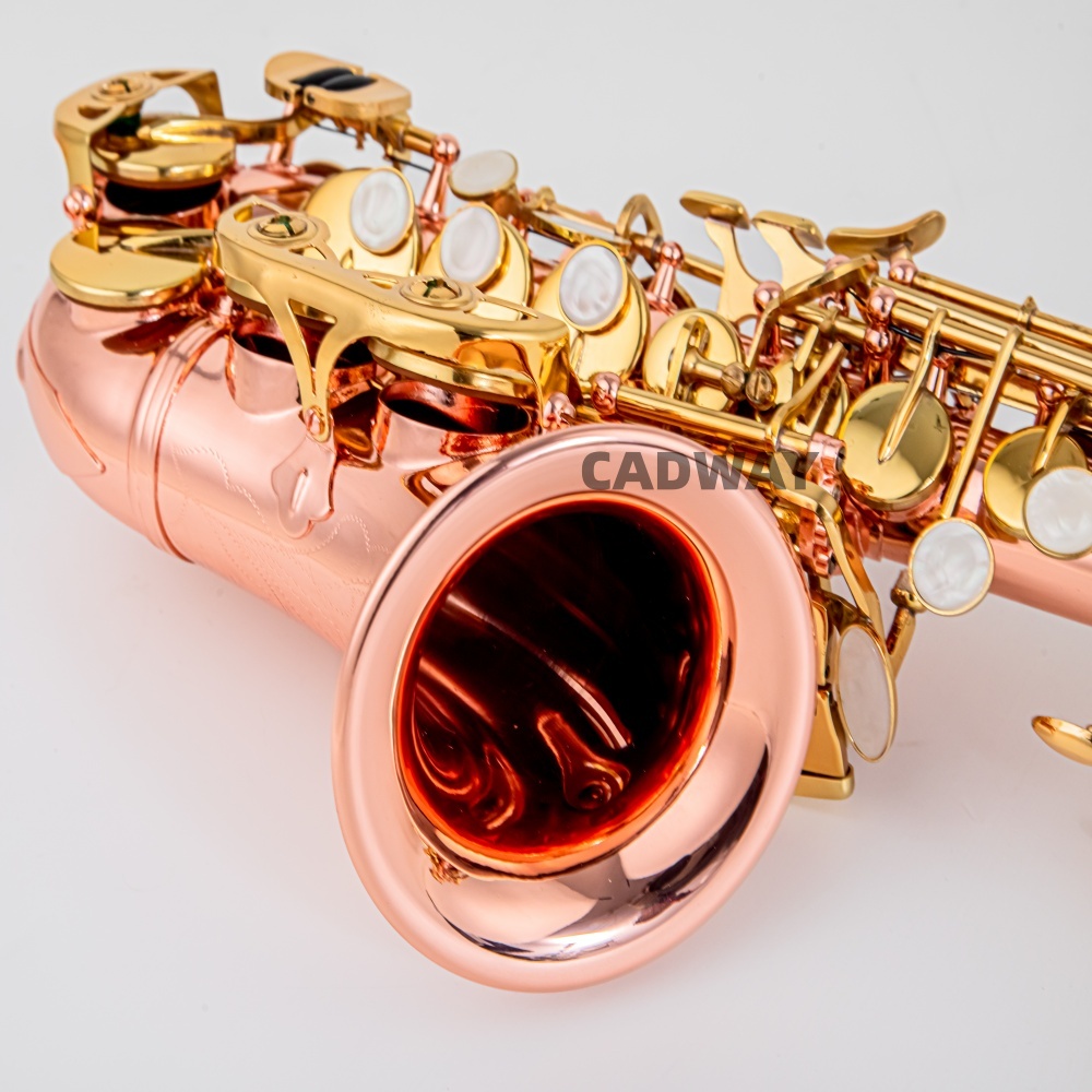 Saxofón soprano japonés en Si  - Musical Instrument Japan reseña y precio